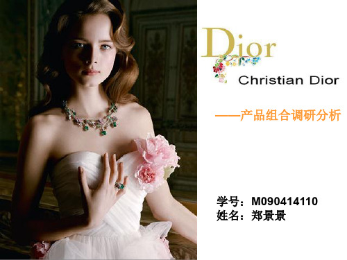 Dior-产品组合调研分析