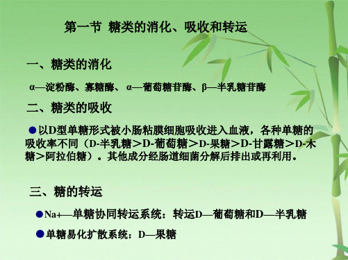  糖糖酵解作用(共22张PPT)