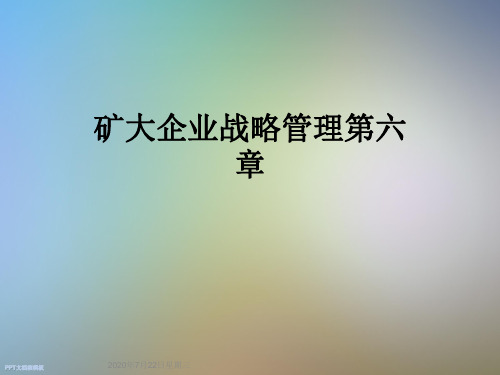 矿大企业战略管理第六章