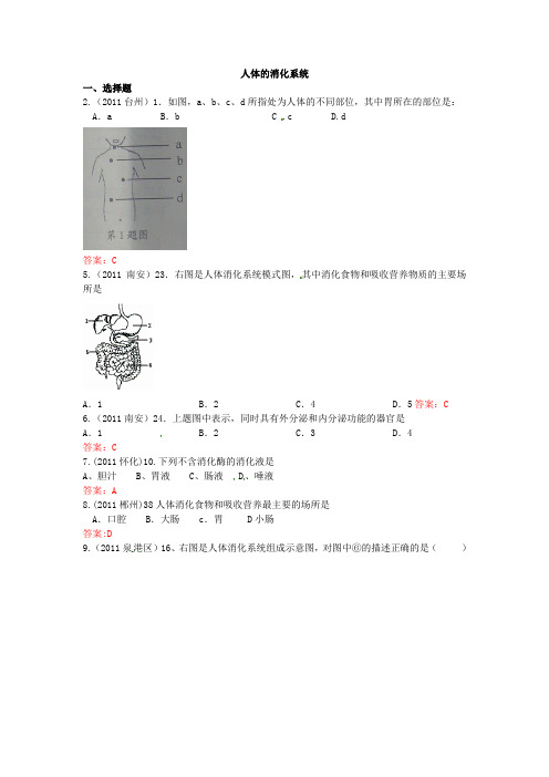 2011年生物中考题汇编(带答案)—人体的消化系统