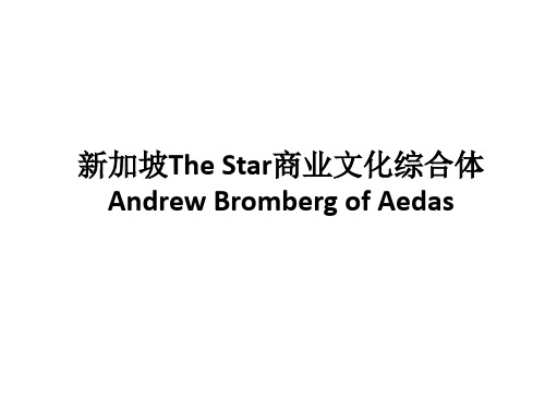 新加坡The Star商业文化综合体 Andrew Bromberg of Aedas