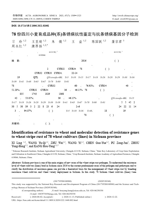 78份四川小麦育成品种(系)条锈病抗性鉴定与抗条锈病基因分子检测