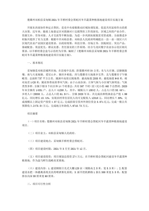 楚雄州双柏县妥甸镇2021年羊桥村委会黑蛇河冬早蔬菜种植基地建设项目实施方案