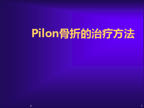 Pilon骨折的治疗ppt课件