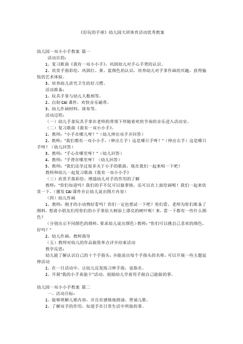 《好玩的手球》幼儿园大班体育活动优秀教案