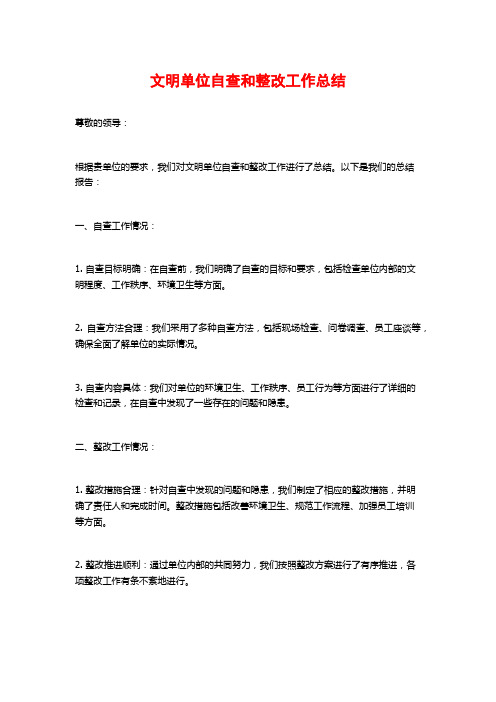 文明单位自查和整改工作总结