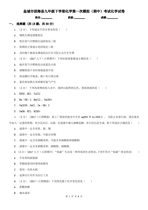 盐城市滨海县九年级下学期化学第一次模拟(期中)考试化学试卷