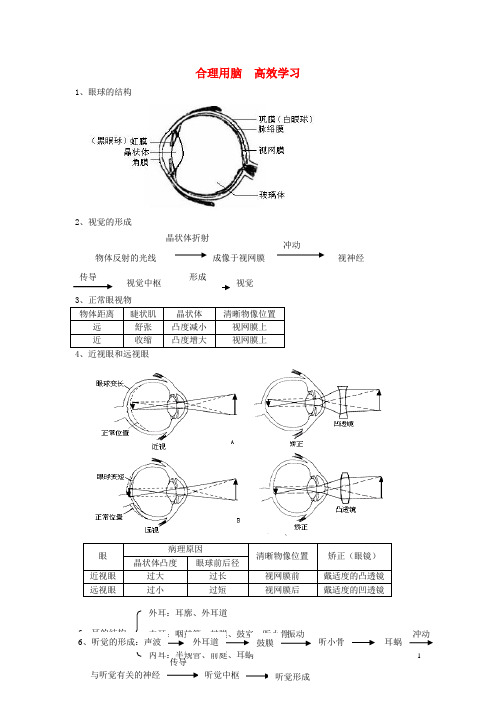 七年级生物下册第二单元第四章合理用脑高效学习教案(新版)冀教版