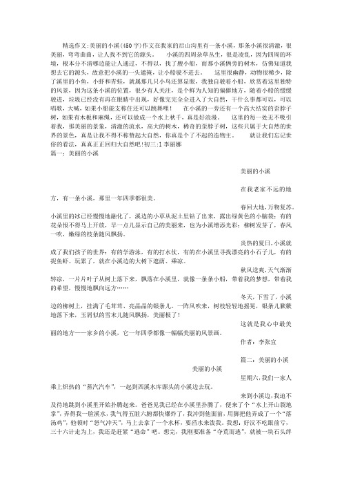 美丽的小溪(450字)作文