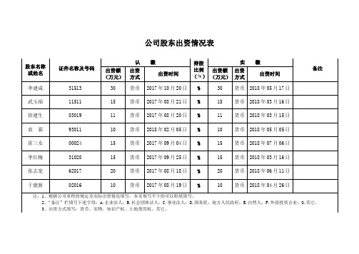 公司股东出资情况表