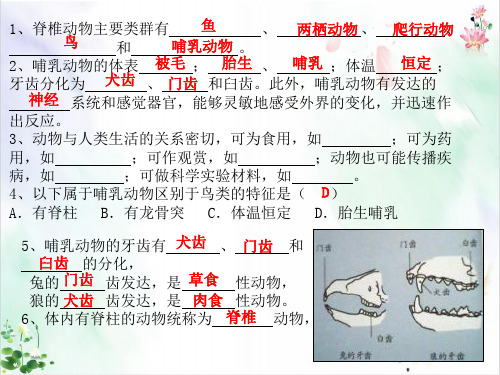 《动物的运动》ppt完美课件