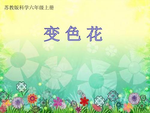 六年级上册科学变色花苏教版 (2)