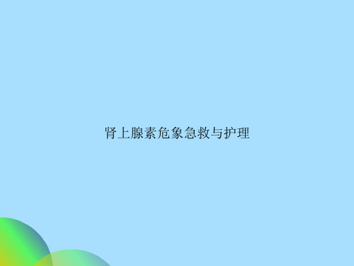 肾上腺素危象急救与护理