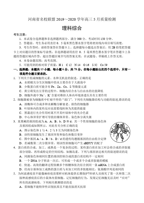 河南省名校联盟2019～2020学年高三5月质量检测——理科综合