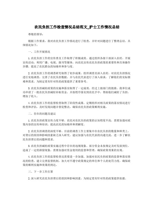 农民负担工作检查情况总结范文_护士工作情况总结