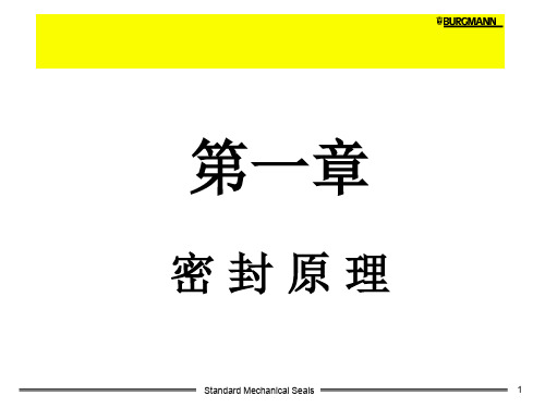 机械密封介绍  ppt课件