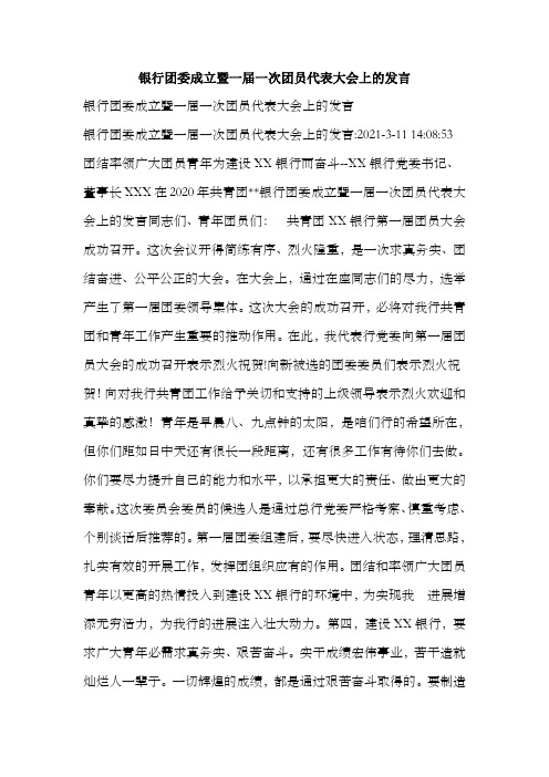 银行团委成立暨一届一次团员代表大会上的发言