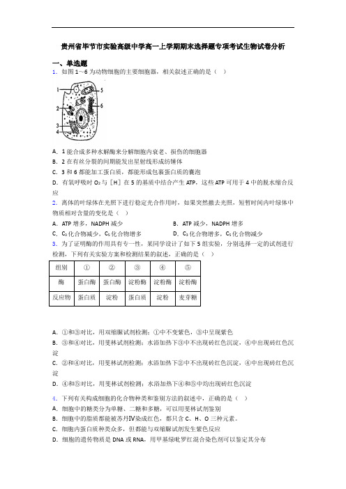 贵州省毕节市实验高级中学高一上学期期末选择题专项考试生物试卷分析