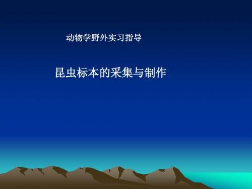 生物科学野外实习指导昆虫标本制作