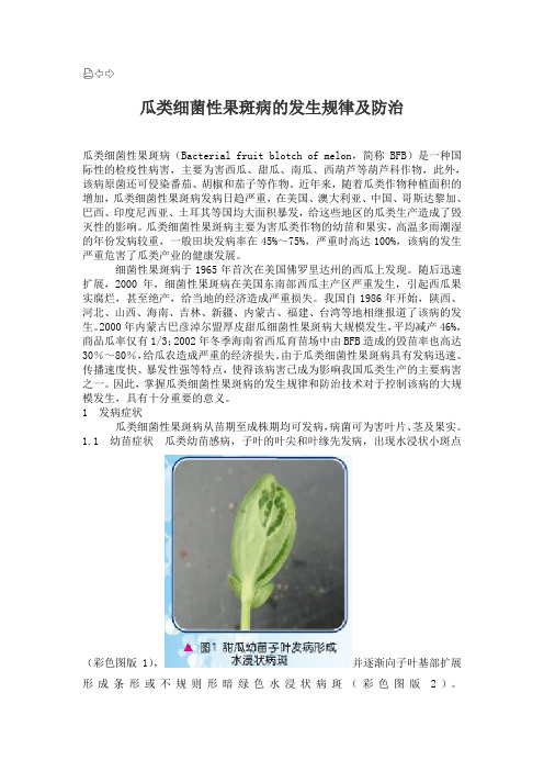 瓜类细菌性果斑病的发生规律及防治