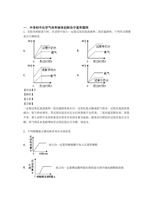 化学气体和固体分离和提纯的专项培优 易错 难题练习题附答案