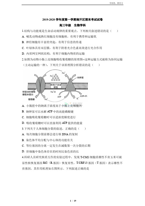 精品解析：【天津市南开区】2019-2020高三上学期期末生物试题