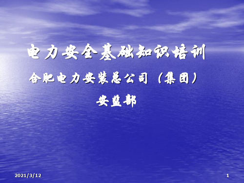 电力安全基础知识PPT课件