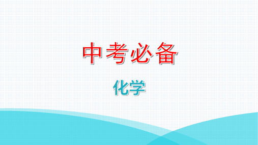 2022年中考化学复习 专题集训 科学探究 类型三 数字化实验探究