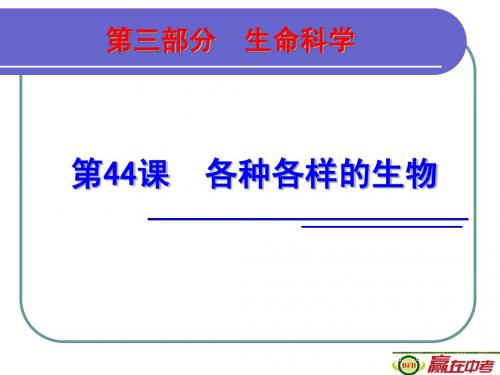 浙江中考科学复习之生物部分    各种各样的生物