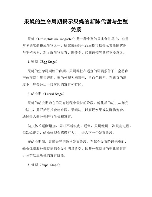 果蝇的生命周期揭示果蝇的新陈代谢与生殖关系