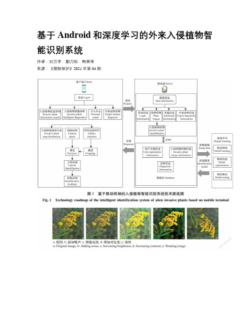 基于Android和深度学习的外来入侵植物智能识别系统