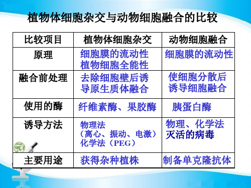 单克隆抗体-公开课课件