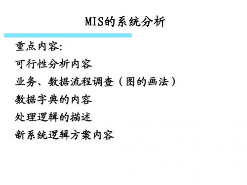 管理信息系统(6)MIS系统分析100