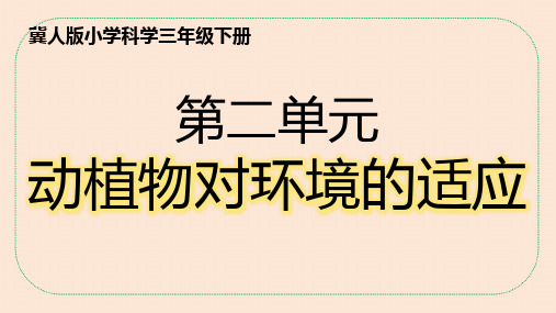 三年级下册科学冀人版第二单元《动植物对环境的适应》知识点总结与练习+课件