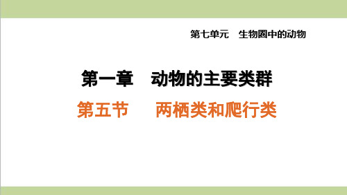 鲁科版八年级上册生物 1.5 两栖类和爬行类 课后习题重点练习课件