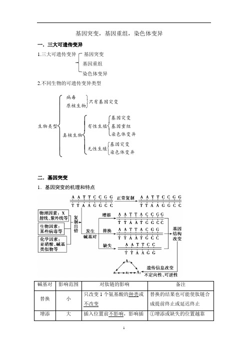 高三一轮复习生物：三大可遗传变异知识点整理