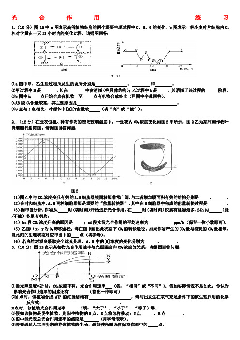 光合习题精选附答案经典)