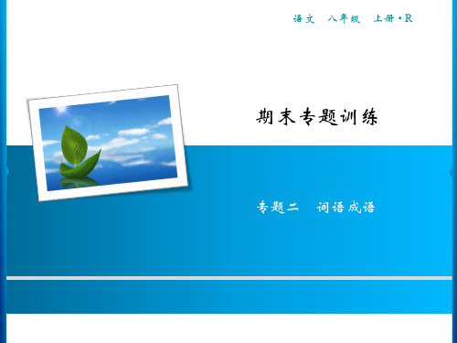 期末专题训练专题2词语成语习题课件—-学年部编版语文八年级上册(共17张PPT)