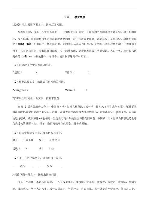 2021部编版中考语文二轮复习真题汇编-专题1  字音字形(带答案解析)