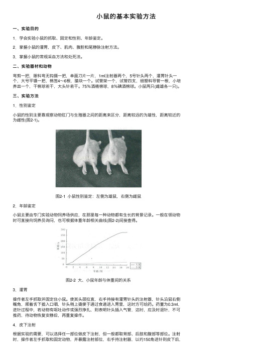 小鼠的基本实验方法