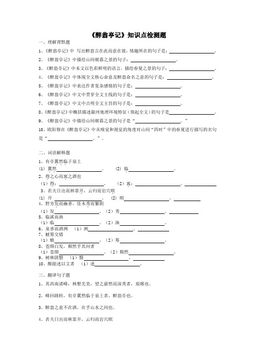 2024年中考语文文言文专题复习：《醉翁亭记》知识点检测题