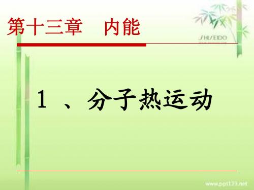 13.1分子热运动和flash(最新人教版九年级物理)