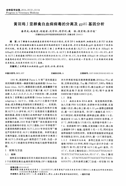 黄羽鸡J亚群禽白血病病毒的分离及gp85基因分析