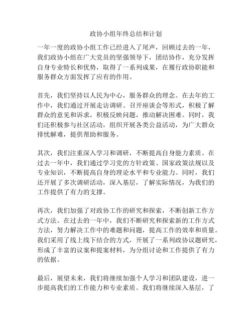 政协小组年终总结和计划