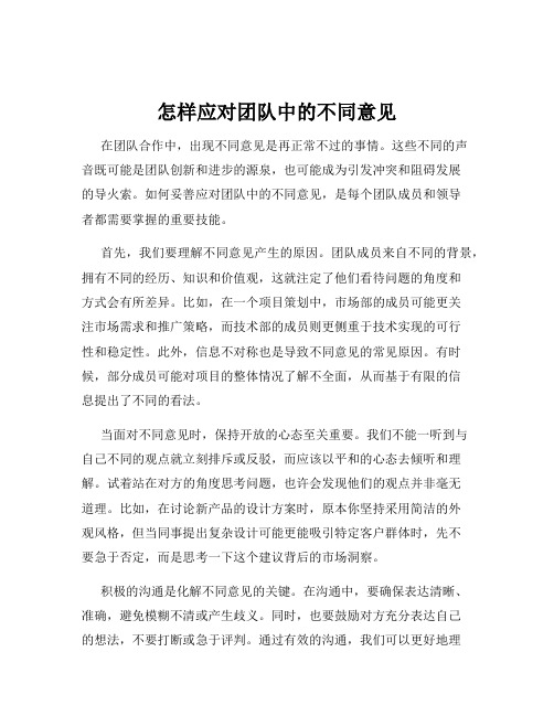 怎样应对团队中的不同意见