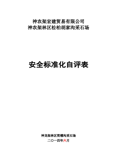 3安全标准化自评打分表(2)