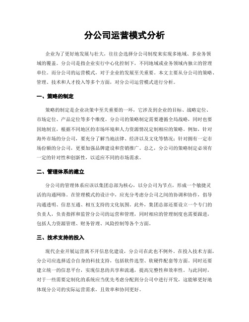 分公司运营模式分析