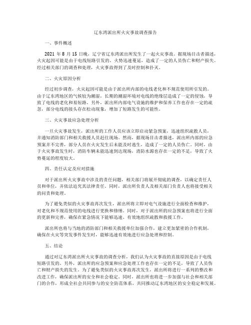 辽东湾派出所火灾事故调查报告