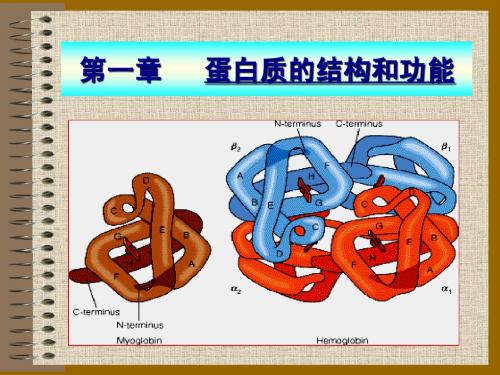 生物化学