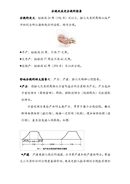 分娩及决定分娩的因素